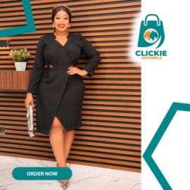 Ladies Office Dresses