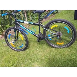 Original RALEIGH  Mountain  Bike (Good as new)